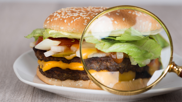 análise-hamburguer